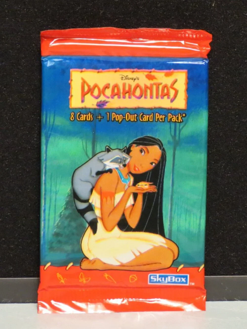 Skybox lot pocahontas